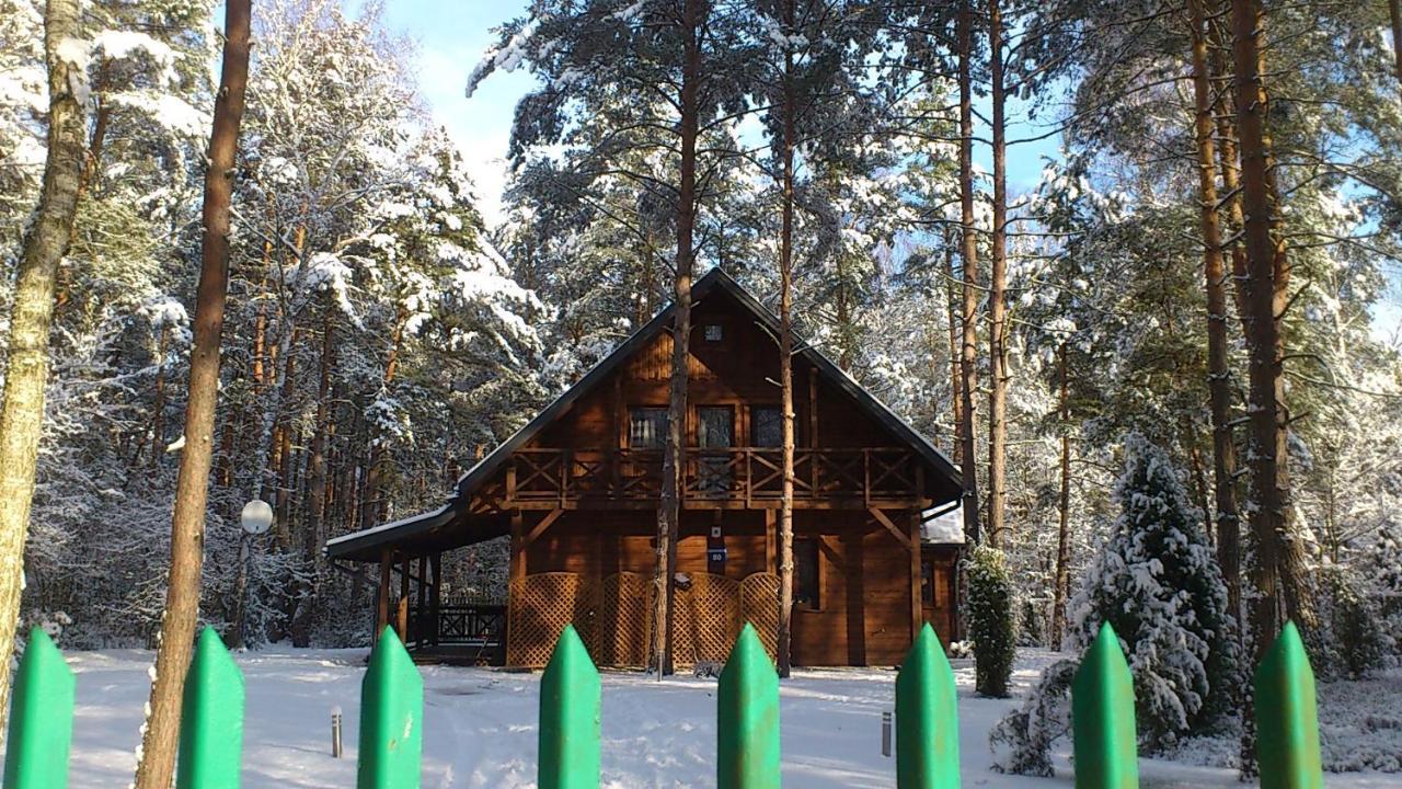 Lesna Ostoja Nad Pilica Villa Lechanice Dış mekan fotoğraf