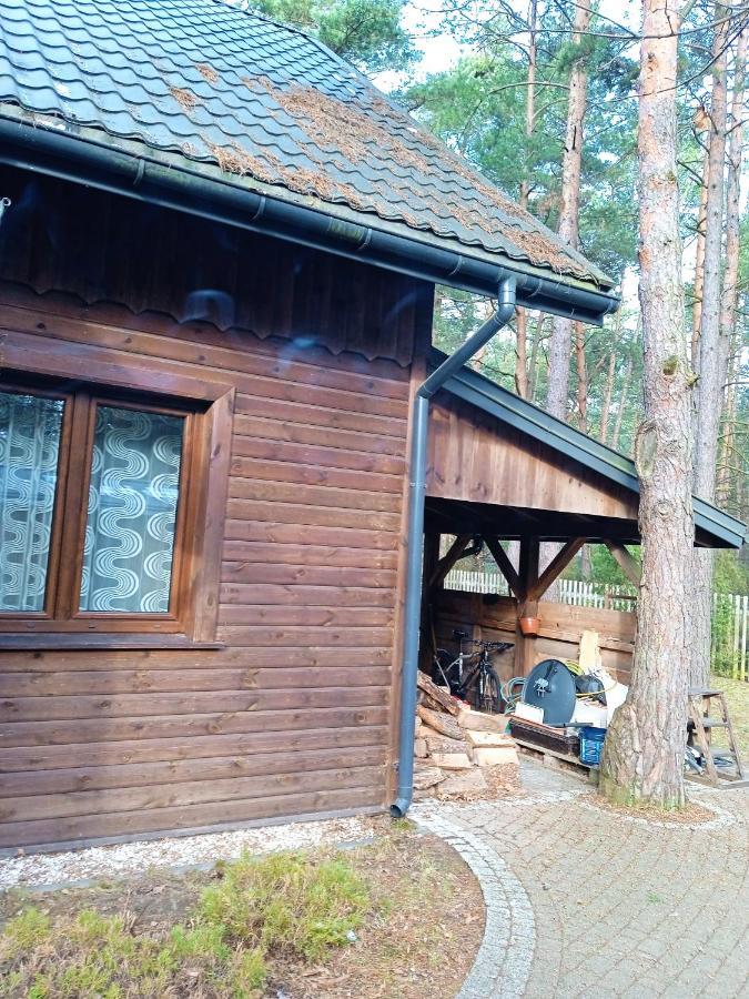 Lesna Ostoja Nad Pilica Villa Lechanice Dış mekan fotoğraf