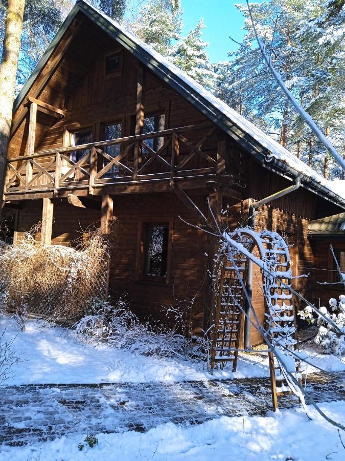 Lesna Ostoja Nad Pilica Villa Lechanice Dış mekan fotoğraf