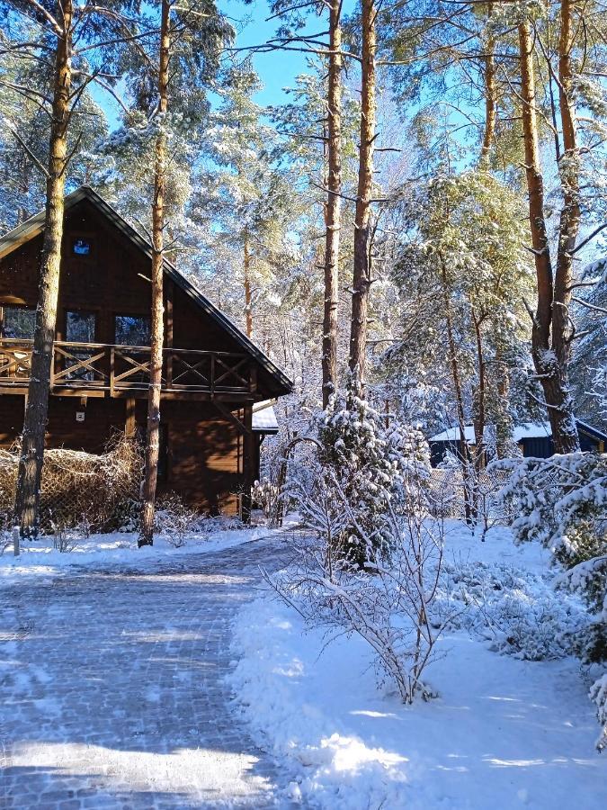 Lesna Ostoja Nad Pilica Villa Lechanice Dış mekan fotoğraf