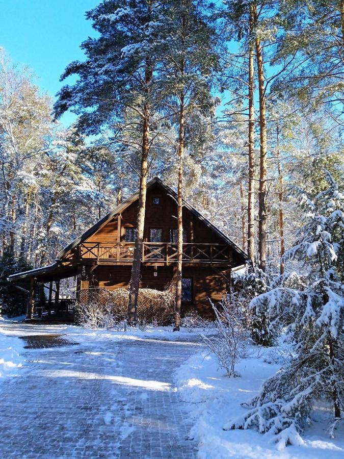 Lesna Ostoja Nad Pilica Villa Lechanice Dış mekan fotoğraf