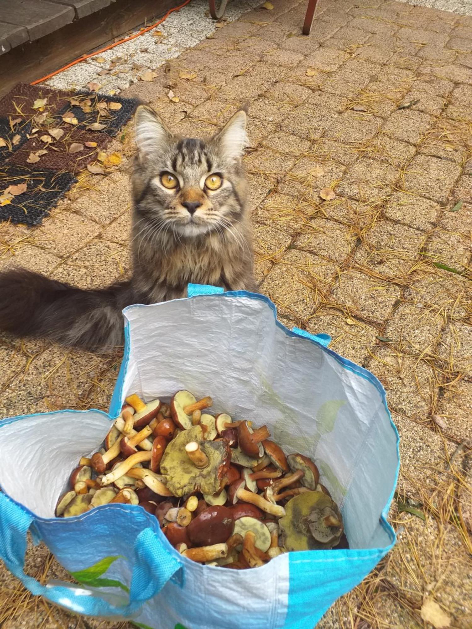 Lesna Ostoja Nad Pilica Villa Lechanice Dış mekan fotoğraf